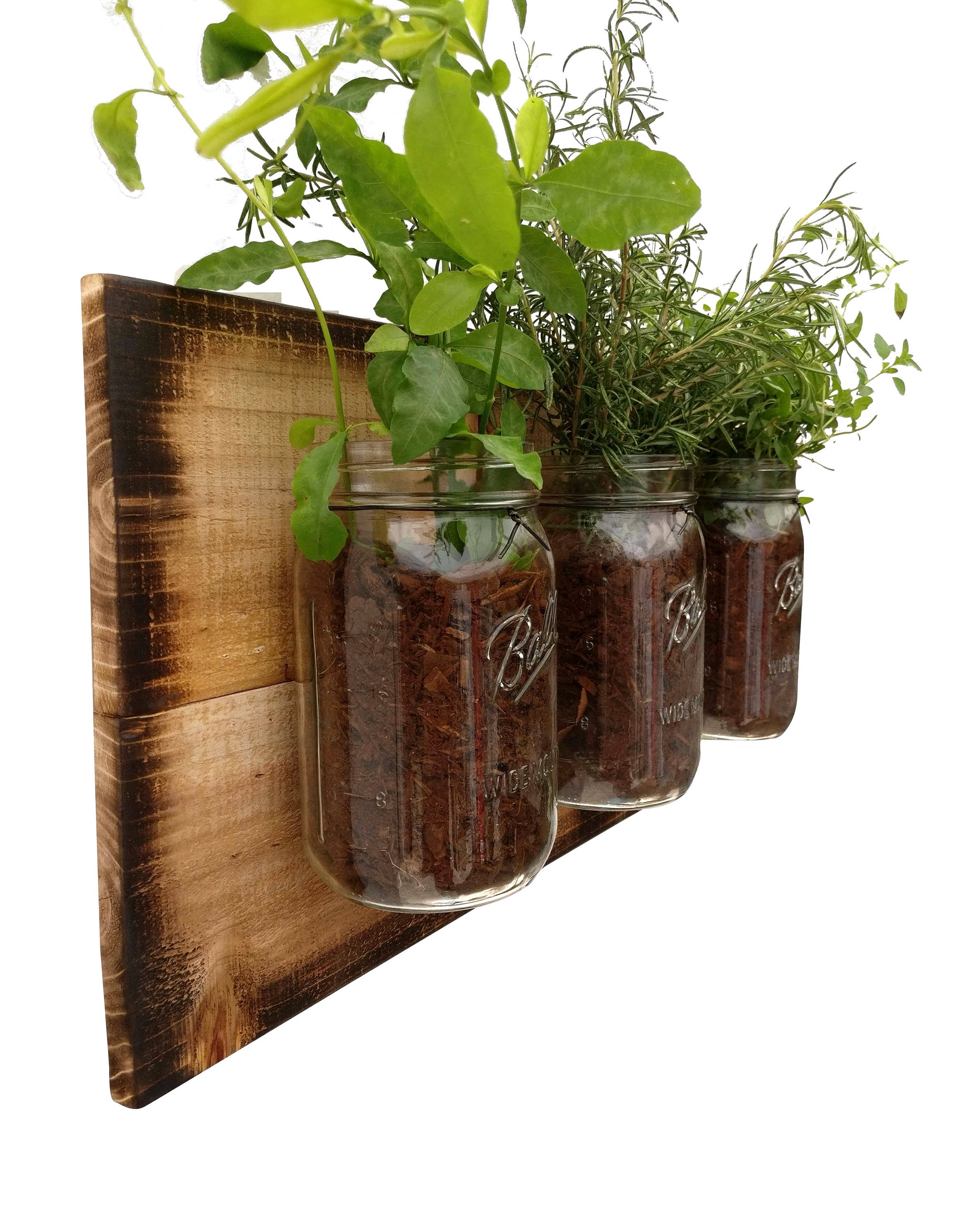 Farmhouse Mason Jar Planter garden herb hanging indoor Etsy