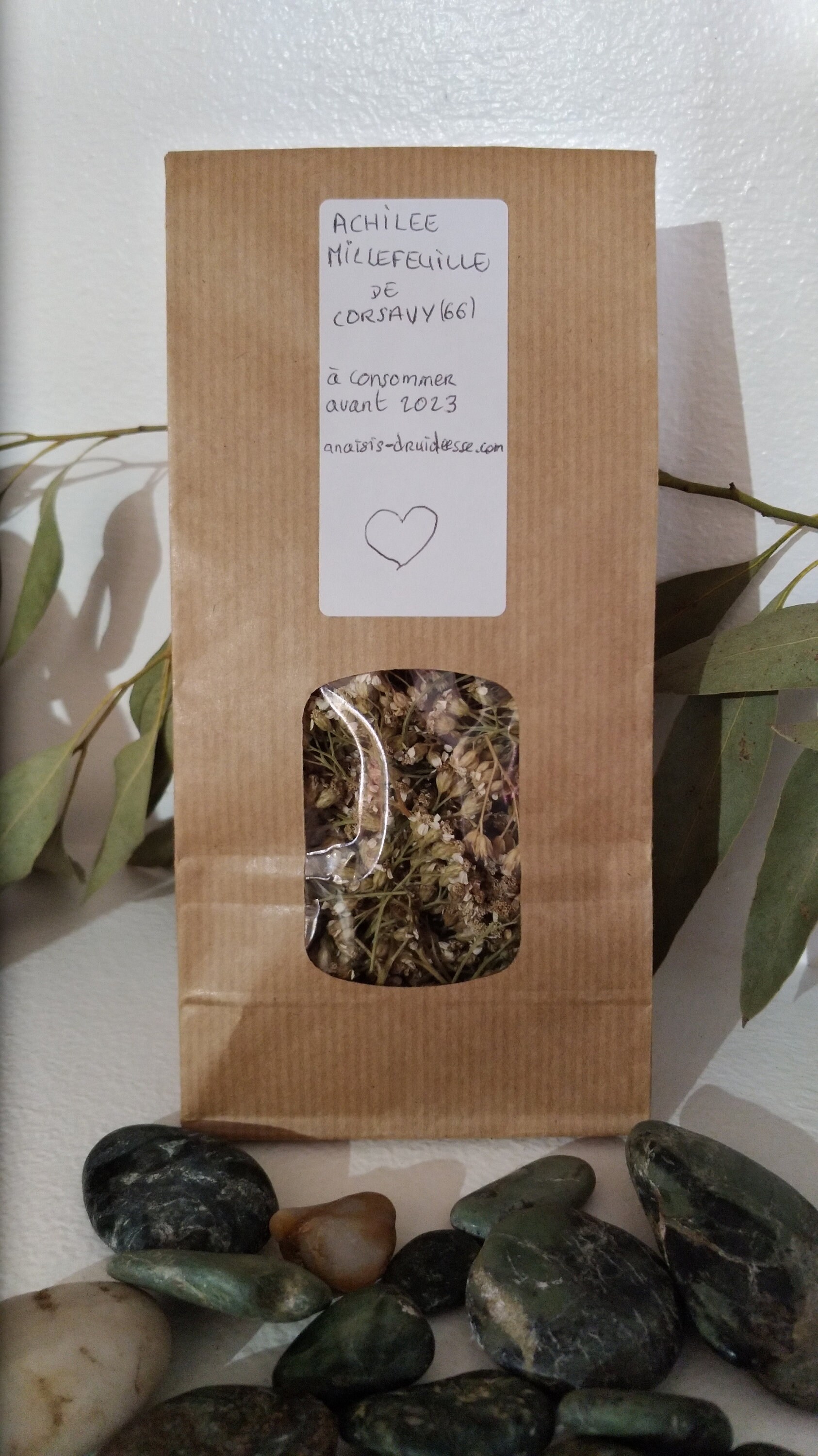 Achillée Millefeuille Fleurs