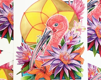 Sacred Ibis - Art Print