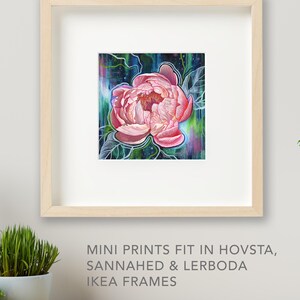 Peony Flower Mini Art Prints, Peony art prints, floral art prints image 2