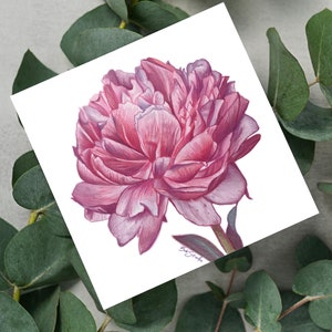 Peony Flower Mini Art Prints, Peony art prints, floral art prints image 1