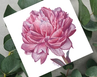 Peony Flower Art Print: Mini Floral Watercolor Drawing