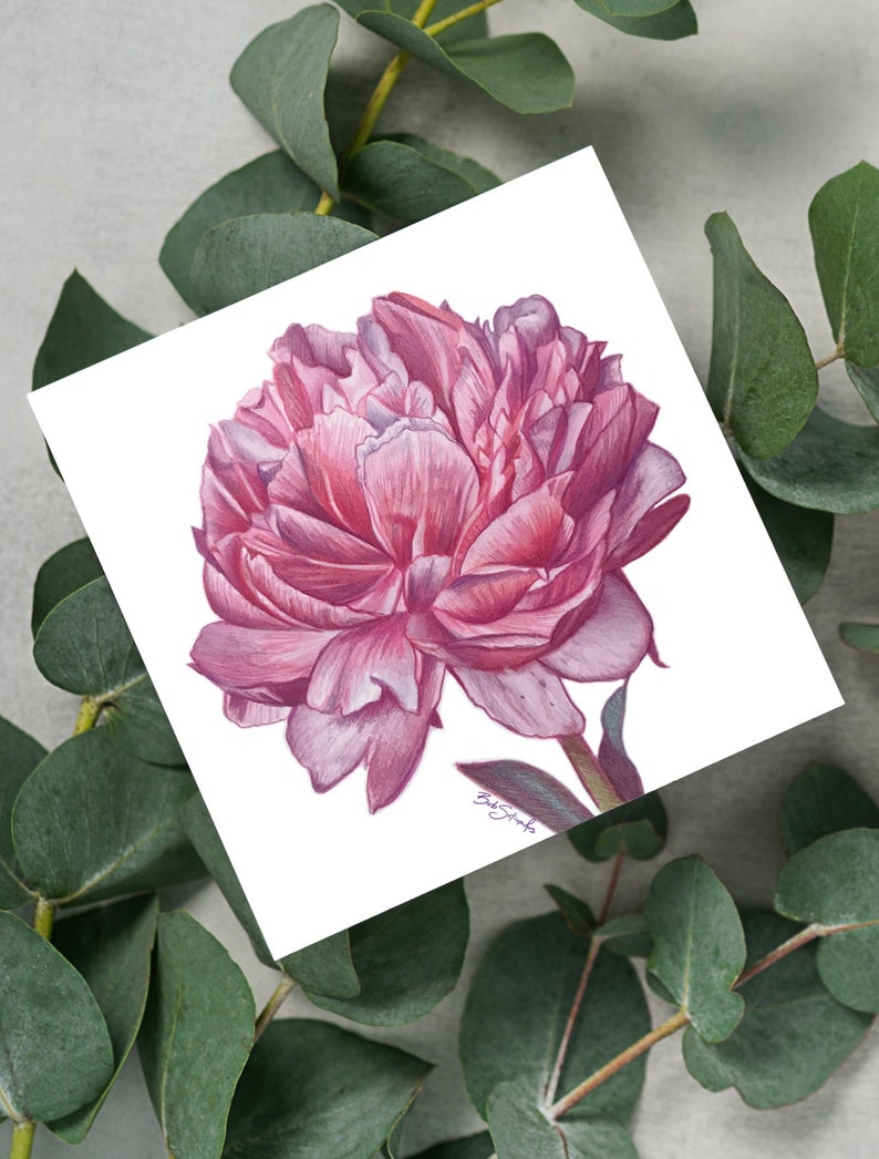 Peony Flower Mini Art Prints, Peony art prints, floral art prints image 1