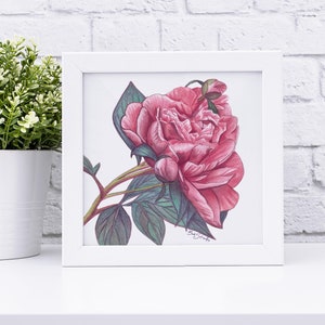 Peony Flower Mini Art Prints, Peony art prints, floral art prints image 9