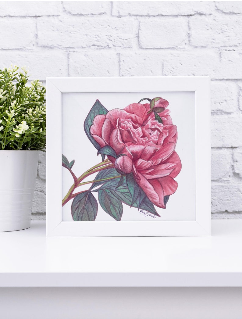 Peony Flower Mini Art Prints, Peony art prints, floral art prints image 9