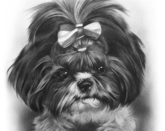Shih-Tzu drawing- Black and white custom pet portrait- hand drawn dog portrait from your photo. Gift for dog lovers.