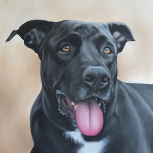 Cane Corso - hand painted dog portrait. Gift for dog lovers. Painting from photo, oil on canvas
