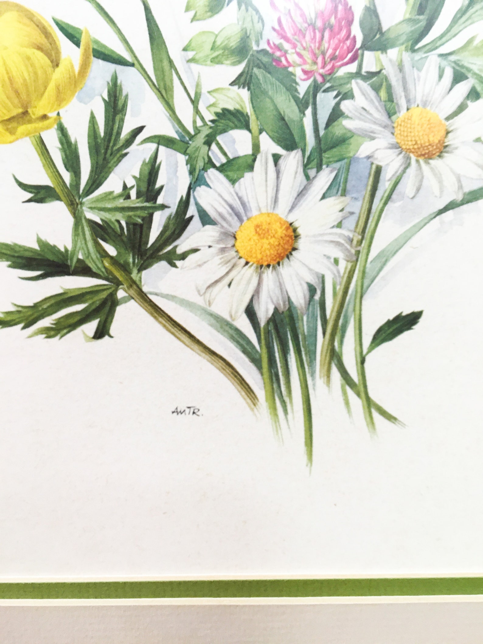 Vintage Wall Decor Framed Pictures Prints Flower Decor Retro - Etsy