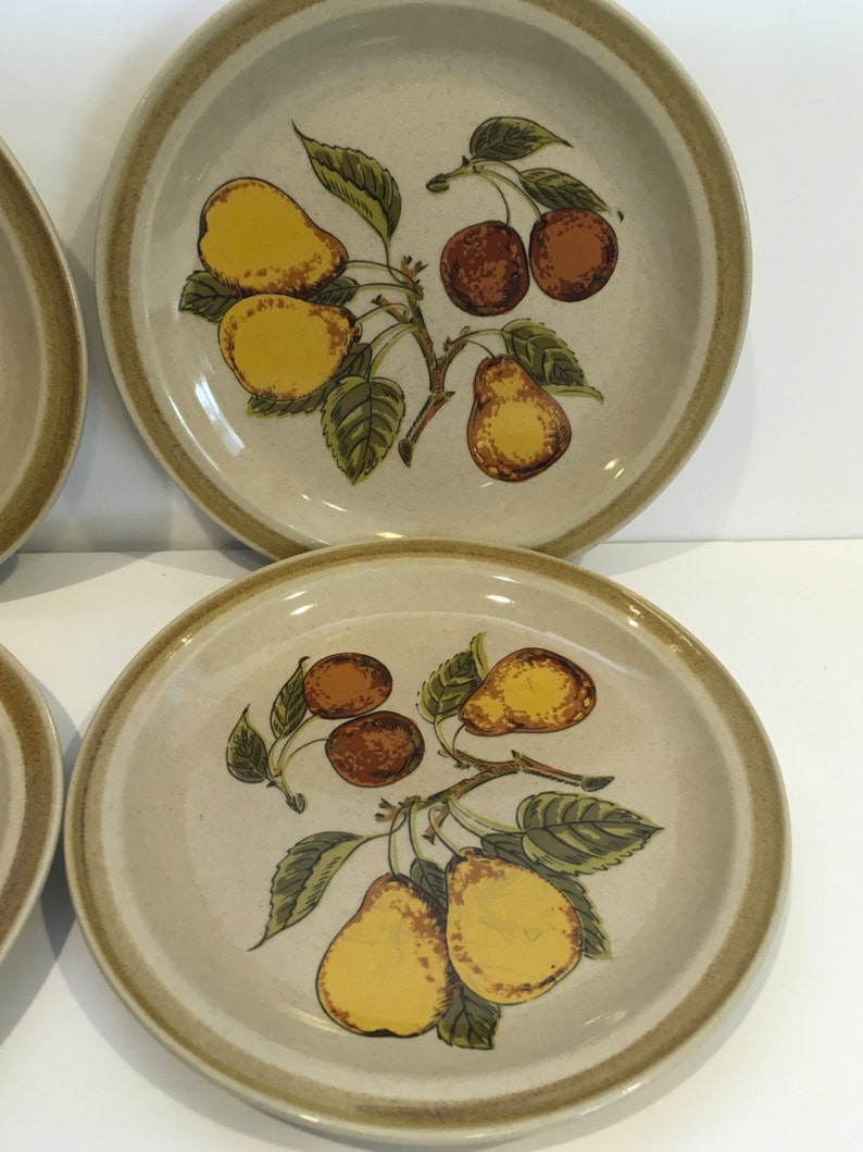 Ovensafe Salad Plate Vintage Country Living Stoneware Plate Set Japan Bread and Butter Plates Pear Tree Plate Fruit Plate