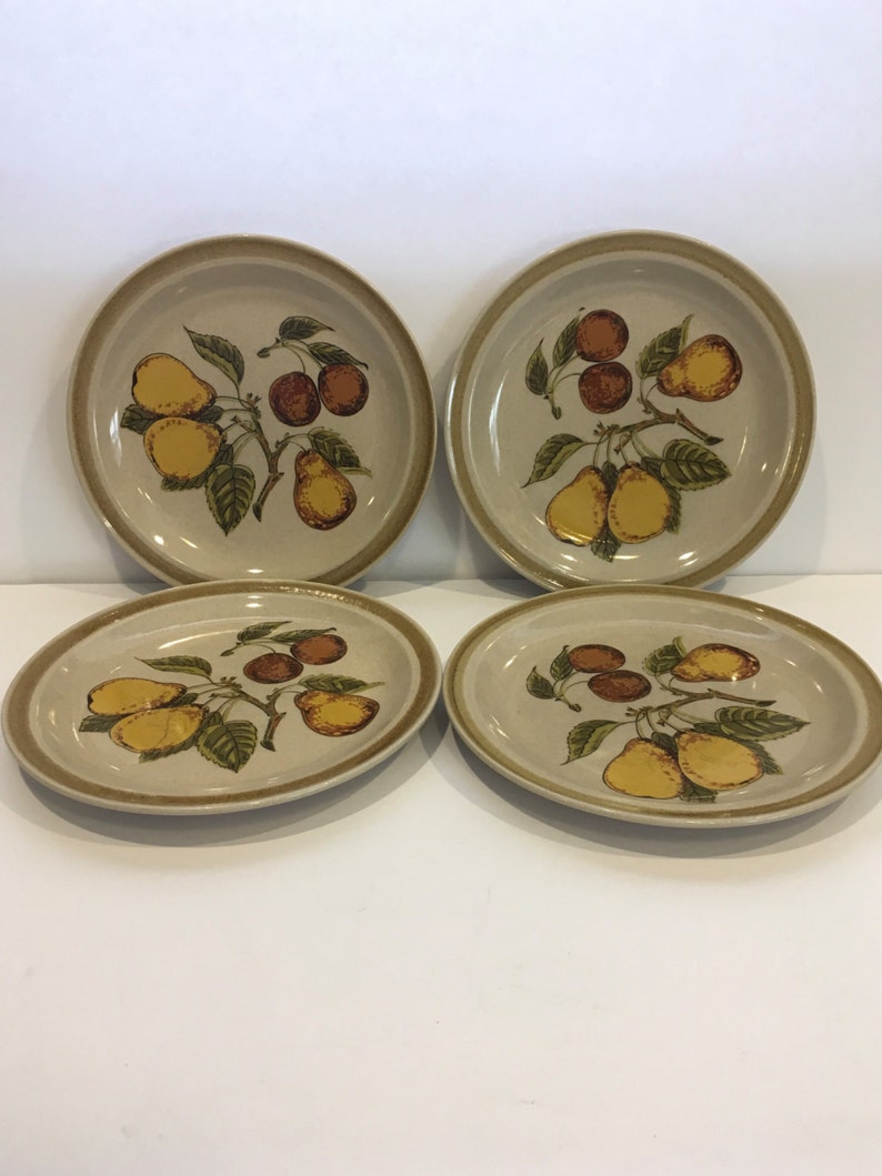 Ovensafe Salad Plate Vintage Country Living Stoneware Plate Set Japan Bread and Butter Plates Pear Tree Plate Fruit Plate