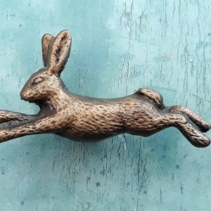 May include: A bronze-coloured rabbit figurine in a leaping pose. The rabbit has a detailed, textured surface and is a decorative accent for a home.
