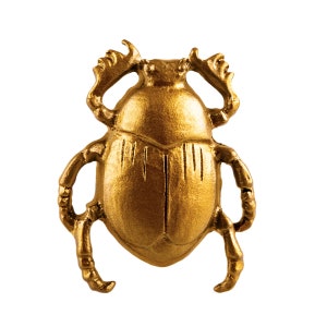 May include: A gold-coloured scarab beetle figurine with detailed legs and wings.