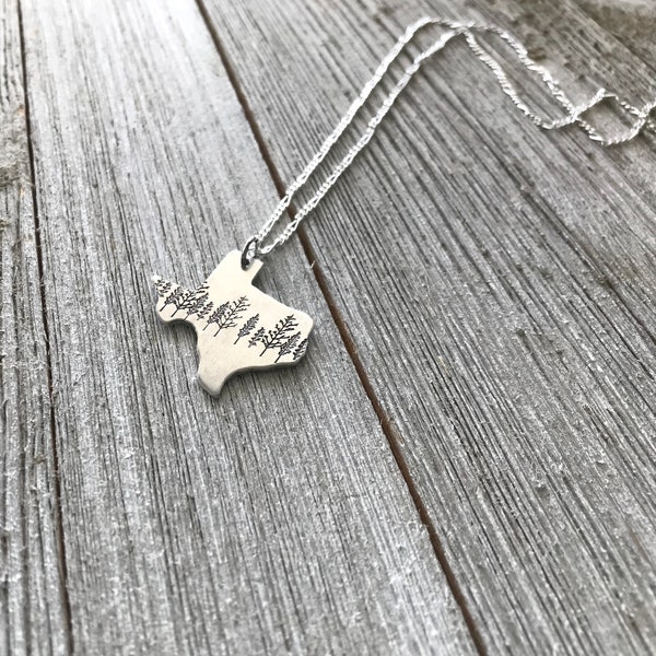 Texas state necklace-texas necklace-gift