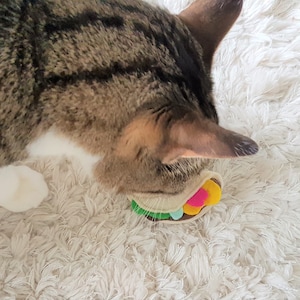 Taco Cat Toys Organic Catnip Taco Toys Birthday Cat Gifts Taco Nacho Lover Gifts for Cat lover Gifts for Cat Lady Gifts Christmas Cat toys image 4