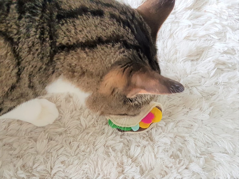 Taco Cat Toys Organic Catnip Taco Toys Birthday Cat Gifts Taco Nacho Lover Gifts for Cat lover Gifts for Cat Lady Gifts Christmas Cat toys image 4