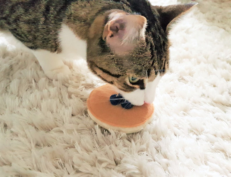 Cat toys Blueberry Pancake Catnip Cat Toys Vegan Food Cat Toys Etsy