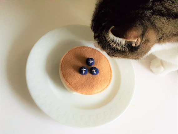 Toys Blueberry Pancake Catnip Cat Toys Christmas Cat Toys - Etsy