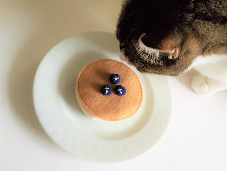 Cat toys Blueberry Pancake Catnip Cat Toys Christmas Cat Toys Handmade Birthday Cat Toys Cat lover Gifts for Crazy Cat Lady Gifts Kitty Toy Pancake