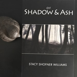 Of Shadow and Ash, fantasy fiction novel image 2