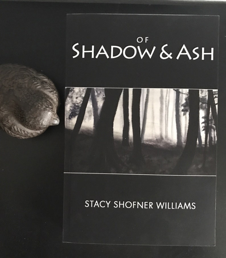 Of Shadow and Ash, fantasy fiction novel image 2