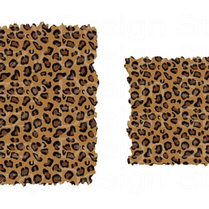 Distressed Leopard Print Background Sublimation png, Cheetah Print Sublimation png,  Sublimation, Waterslide, Stickers etc, Instant Download