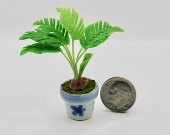 Dollhouse Miniature One Inch Scale 1:12 Palm tree Houseplant