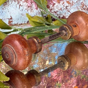 Op de afbeelding: Twee vintage houten deurknoppen met messing details. De knoppen hebben een warme bruine kleur en een afgeronde vorm. De afbeelding toont de knoppen met een reflectie en groene bladeren.
