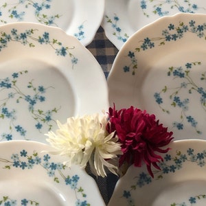 May include: A set of white ceramic plates featuring a delicate pattern of small blue flowers and green stems along the scalloped edges. Two artificial chrysanthemum flowers, one white and one deep red, are placed in the center of the arrangement.