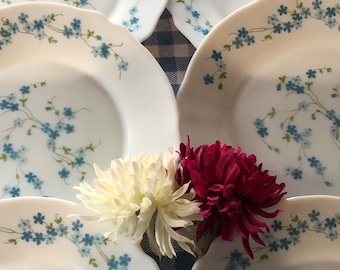 Six French Vintage 1980s Arcopal "Veronica" Milk Glass Forget me Not Dinner Plates / French Classic Retro Tableware