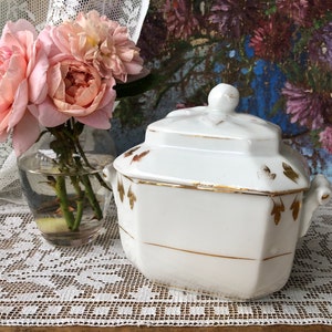 Puede incluir: Azucarero de porcelana blanca con ribete dorado y diseño floral. El tazón tiene una tapa y dos asas.