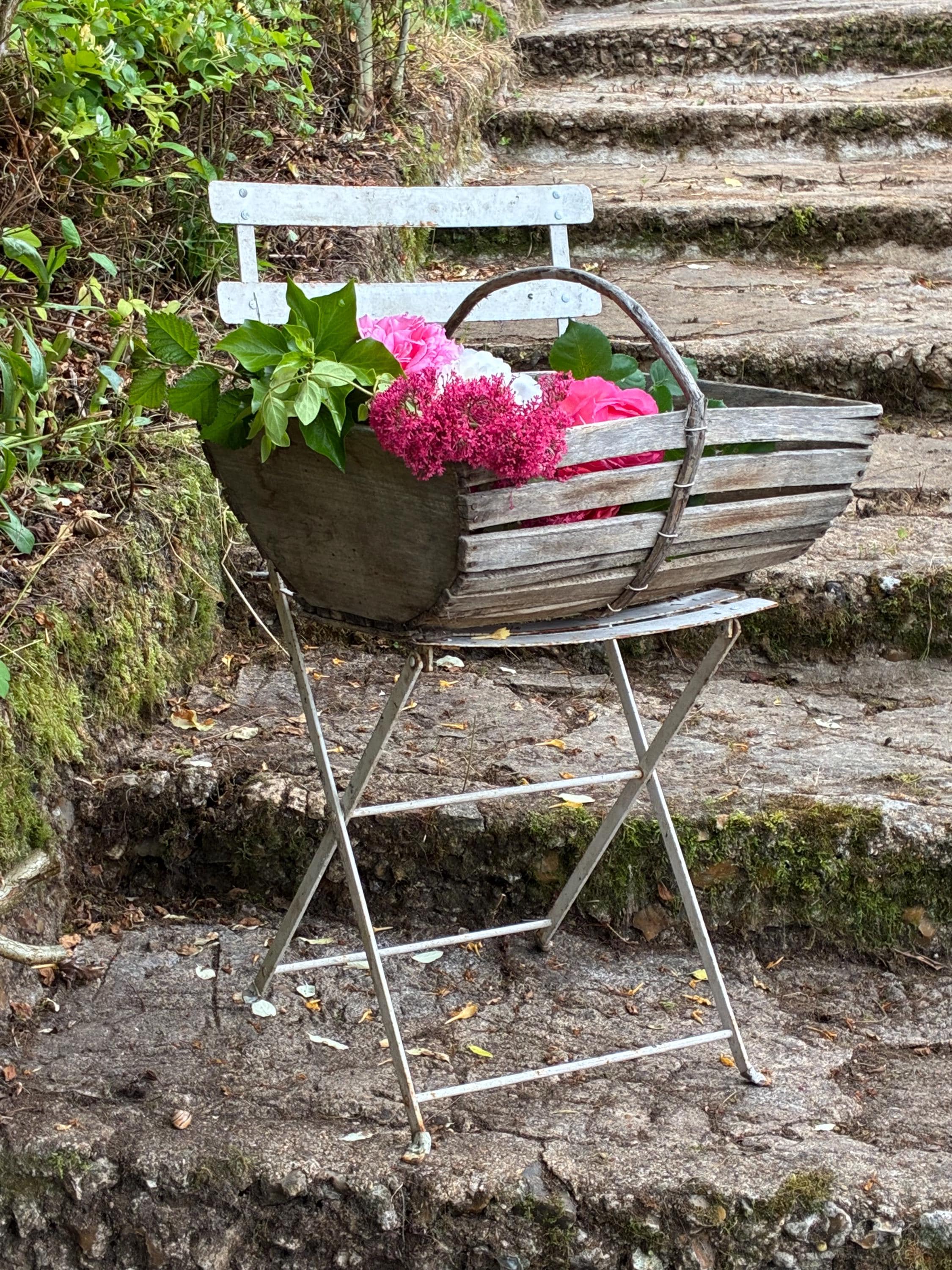 Sorry Reserved for H - Cronky French Antique Wooden Trug/Basket / Gorgeous Rustic Hand Made Piece with Slatted Wood and Bentwood Handle