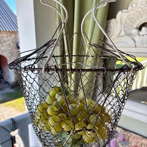 Peut inclure: Un panier en treillis métallique vintage avec une poignée blanche, rempli de raisins verts. Le panier est suspendu à une chaîne marron, mettant en valeur un design rustique. Les raisins sont mûrs et prêts à être mangés.