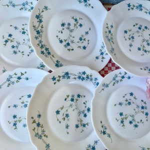 May include: A set of six white round plates with scalloped edges, each featuring a delicate pattern of small blue flowers and green stems. The floral design is scattered across the center and along the rim of each plate, creating a cohesive look.