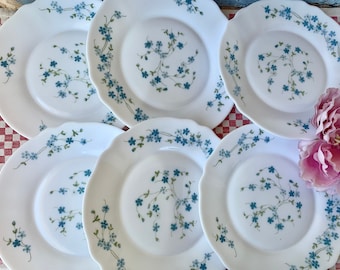 Six French Vintage 1980s Arcopal "Veronica" Milk Glass Forget me Not Dessert Plates