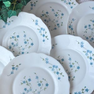 Puede incluir: Un conjunto de platos de cerámica blanca con un delicado diseño floral azul. Los platos tienen un borde festoneado y están dispuestos en grupo. El diseño floral presenta pequeñas flores azules y tallos verdes.