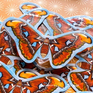 May include: A set of colorful butterfly stickers with a blue background. The butterflies have orange, brown, and yellow wings with intricate patterns.