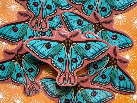 Luna Moth Sticker | Regular & Mega Sticker Available | Handmade and Illustrated | Laminate Sticker | Moth Series