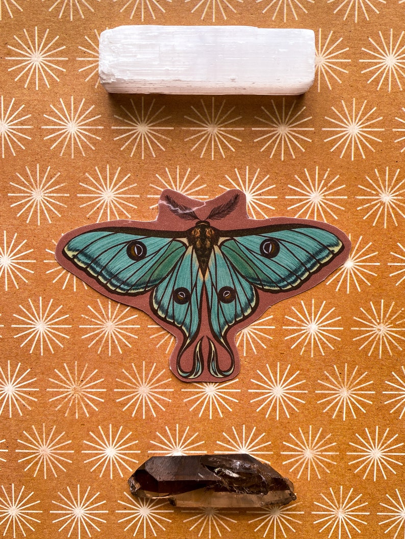 May include: A selenite crystal, a brown crystal, and a green and brown butterfly illustration on a brown background with a white starburst pattern.