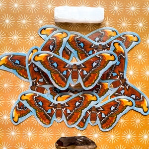 May include: A collection of colorful butterfly stickers with brown, orange, and yellow wings. The stickers are arranged in a circular pattern on a brown background with white starbursts.