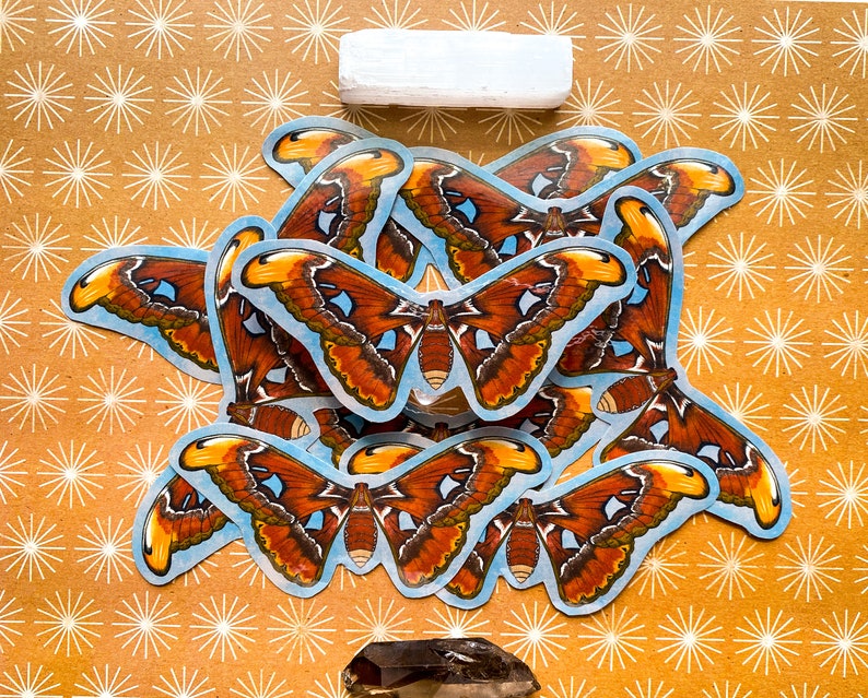 May include: A collection of colorful butterfly stickers with brown, orange, and yellow wings. The stickers are arranged in a circular pattern on a brown background with white starbursts.