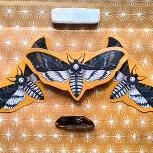 May include: Three black and white moth stickers on a brown background with a white starburst pattern. The moths have a skull and crossbones design on their wings.