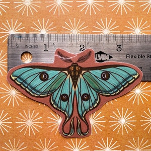 May include: A teal blue and brown moth sticker with a ruler for scale. The moth has large, iridescent wings and a long, thin body. The sticker is on a brown background with a white starburst pattern.