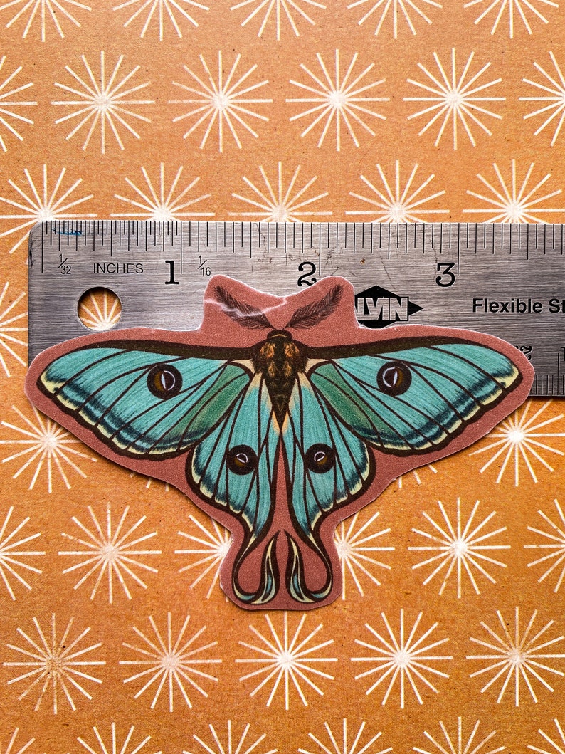 May include: A teal blue and brown moth sticker with a ruler for scale. The moth has large, iridescent wings and a long, thin body. The sticker is on a brown background with a white starburst pattern.
