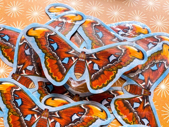 Atlas Moth Sticker |Regular & Mega Sticker Available  | Illustrated and Handmade | Laminate Sticker  | Moth Series
