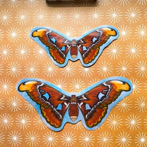 May include: Two brown and orange butterfly stickers on a brown background with white starbursts. A white selenite crystal is above the butterflies and a brown crystal is below them.