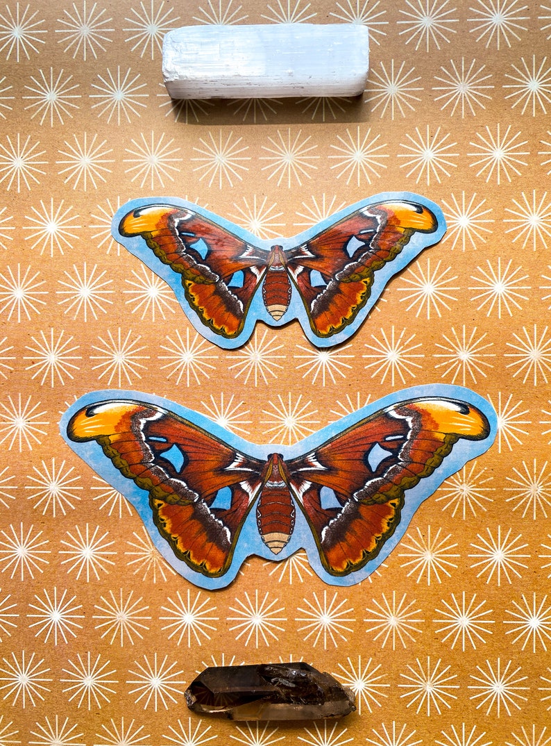 May include: Two brown and orange butterfly stickers on a brown background with white starbursts. A white selenite crystal is above the butterflies and a brown crystal is below them.