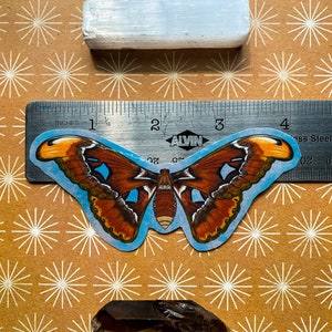 May include: A brown and orange butterfly sticker with blue wings, placed on a ruler with the text "ALVIN" and "Stainless Steel". The sticker is on a brown background with a white starburst pattern.
