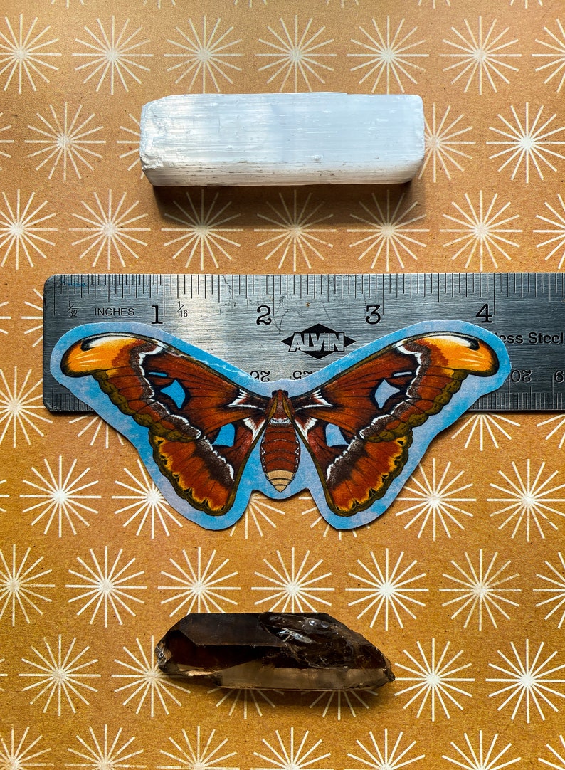 May include: A brown and orange butterfly sticker with blue wings, placed on a ruler with the text "ALVIN" and "Stainless Steel". The sticker is on a brown background with a white starburst pattern.