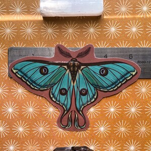 May include: A teal blue and brown moth sticker with large eyes and feathery antennae. The sticker is placed on a ruler with inches marked. The ruler is on a brown background with a white starburst pattern.