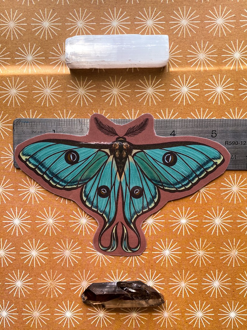 May include: A teal blue and brown moth sticker with large eyes and feathery antennae. The sticker is placed on a ruler with inches marked. The ruler is on a brown background with a white starburst pattern.